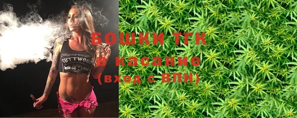 хмурый Вяземский