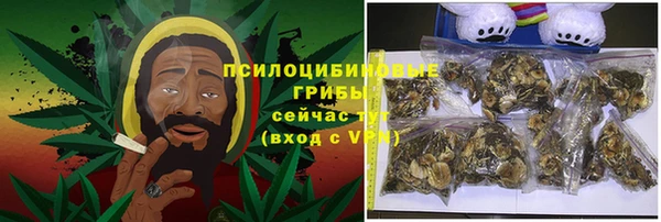 соль курить ск Горно-Алтайск
