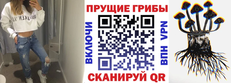 хочу наркоту Звенигово Псилоцибиновые грибы прущие грибы